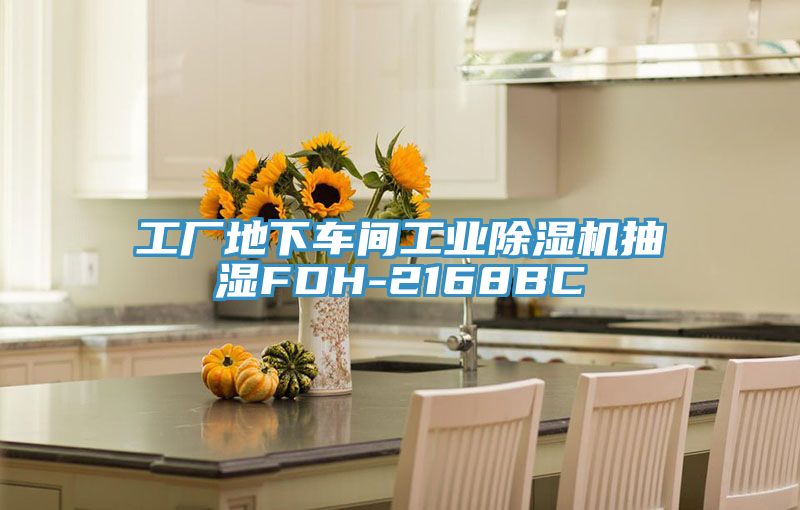 工廠地下車間工業(yè)除濕機(jī)抽濕FDH-2168BC