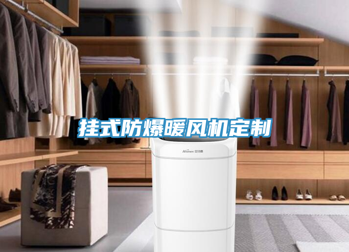 掛式防爆暖風機定制