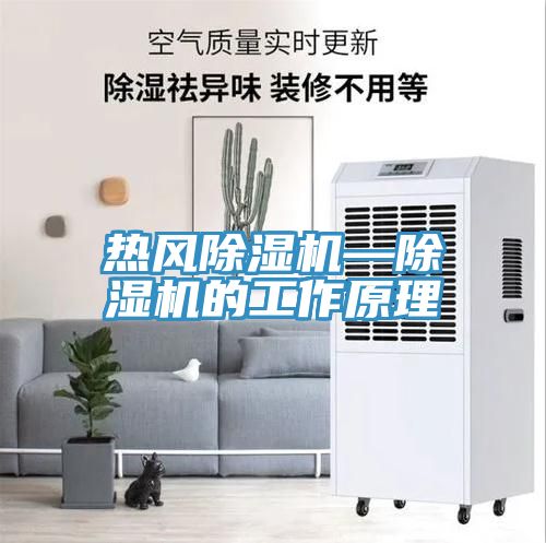 熱風(fēng)除濕機(jī)—除濕機(jī)的工作原理