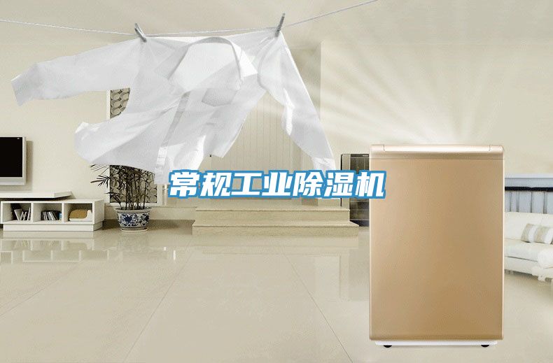 常規(guī)工業(yè)除濕機(jī)
