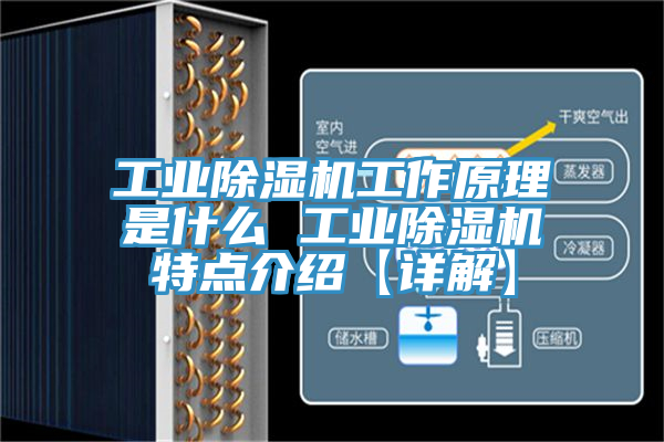 工業(yè)除濕機(jī)工作原理是什么 工業(yè)除濕機(jī)特點(diǎn)介紹【詳解】