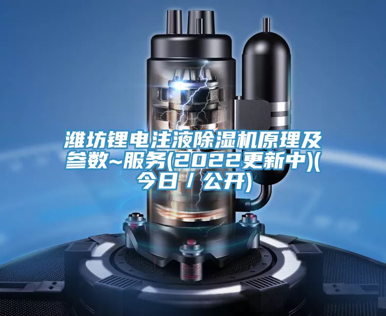 濰坊鋰電注液除濕機(jī)原理及參數(shù)~服務(wù)(2022更新中)(今日／公開)