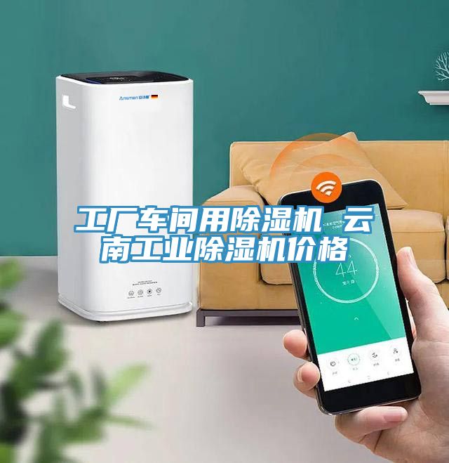 工廠車間用除濕機(jī) 云南工業(yè)除濕機(jī)價(jià)格