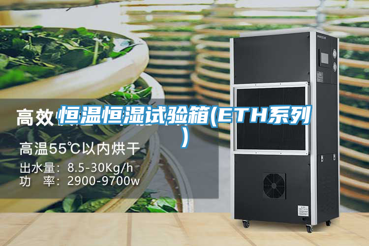 恒溫恒濕試驗(yàn)箱(ETH系列)