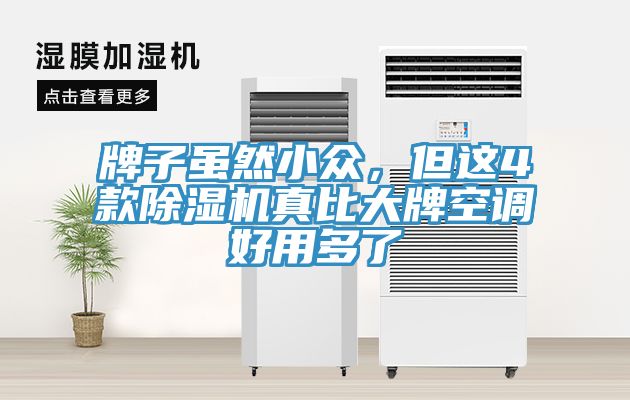 牌子雖然小眾，但這4款除濕機真比大牌空調(diào)好用多了