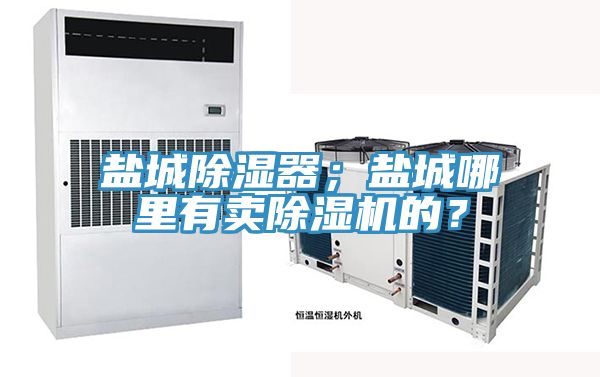 鹽城除濕器；鹽城哪里有賣除濕機(jī)的？