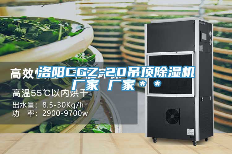 洛陽(yáng)CGZ-20吊頂除濕機(jī)廠家 廠家＊＊