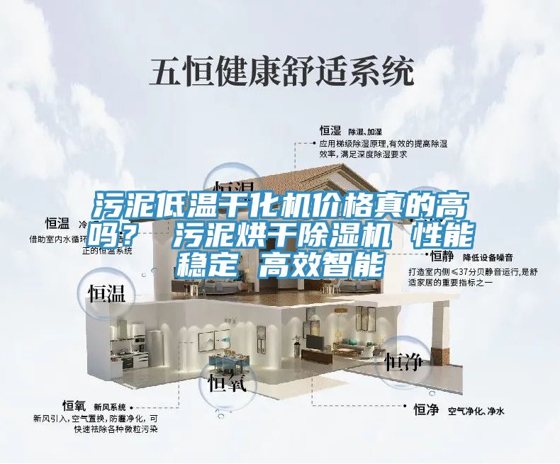 污泥低溫干化機(jī)價(jià)格真的高嗎？ 污泥烘干除濕機(jī) 性能穩(wěn)定 高效智能