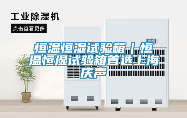 恒溫恒濕試驗(yàn)箱｜恒溫恒濕試驗(yàn)箱首選上海慶聲