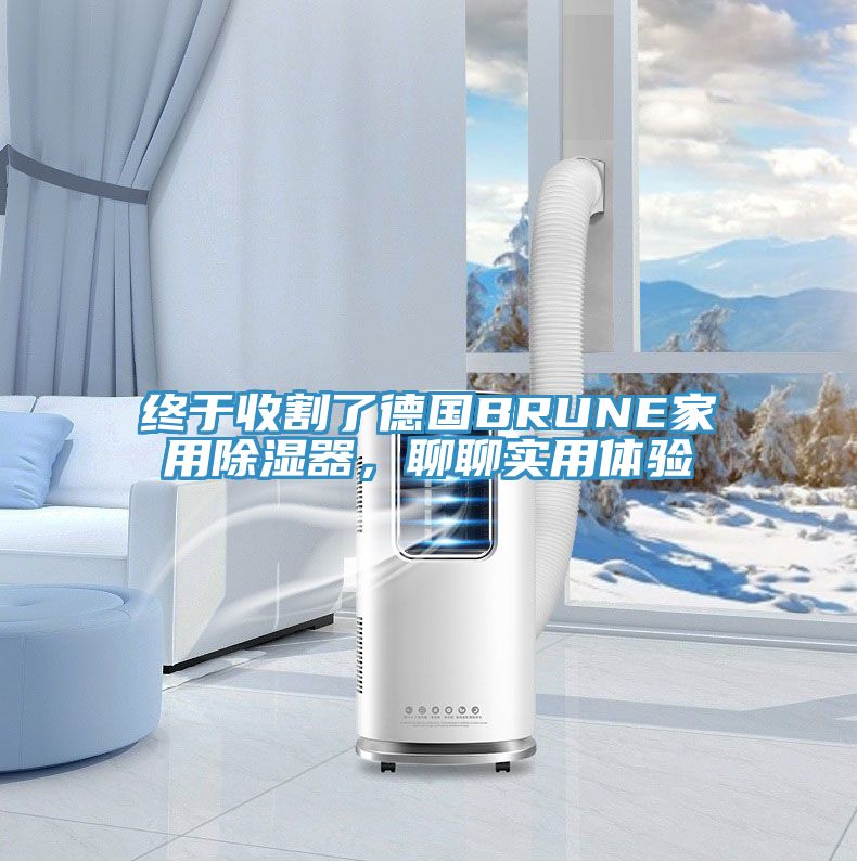 終于收割了德國BRUNE家用除濕器，聊聊實用體驗