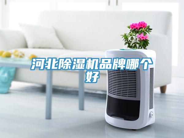 河北除濕機(jī)品牌哪個好