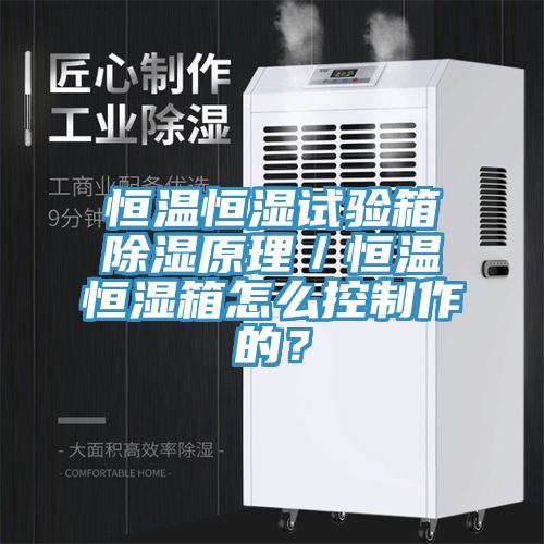 恒溫恒濕試驗箱除濕原理／恒溫恒濕箱怎么控制作的？