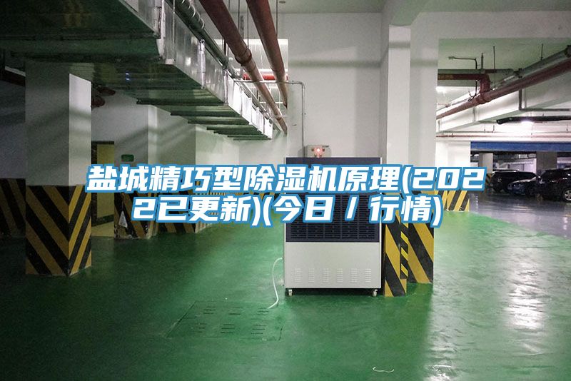 鹽城精巧型除濕機(jī)原理(2022已更新)(今日／行情)