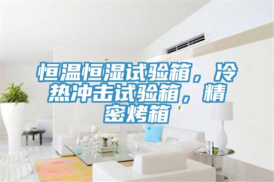 恒溫恒濕試驗(yàn)箱，冷熱沖擊試驗(yàn)箱，精密烤箱