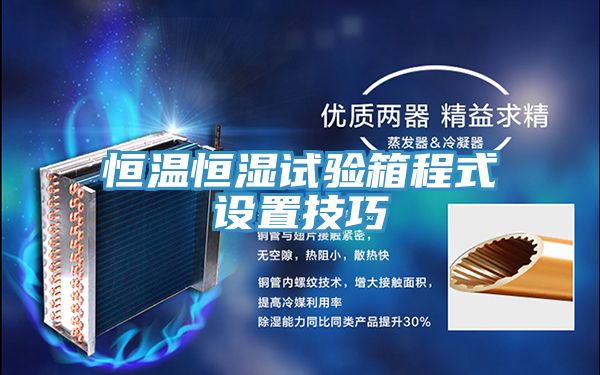 恒溫恒濕試驗箱程式設(shè)置技巧
