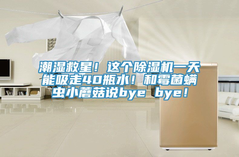 潮濕救星！這個除濕機一天能吸走40瓶水！和霉菌螨蟲小蘑菇說bye bye！