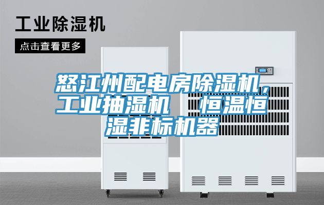 怒江州配電房除濕機，工業(yè)抽濕機  恒溫恒濕非標機器