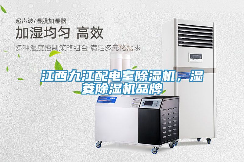 江西九江配電室除濕機(jī)，濕菱除濕機(jī)品牌