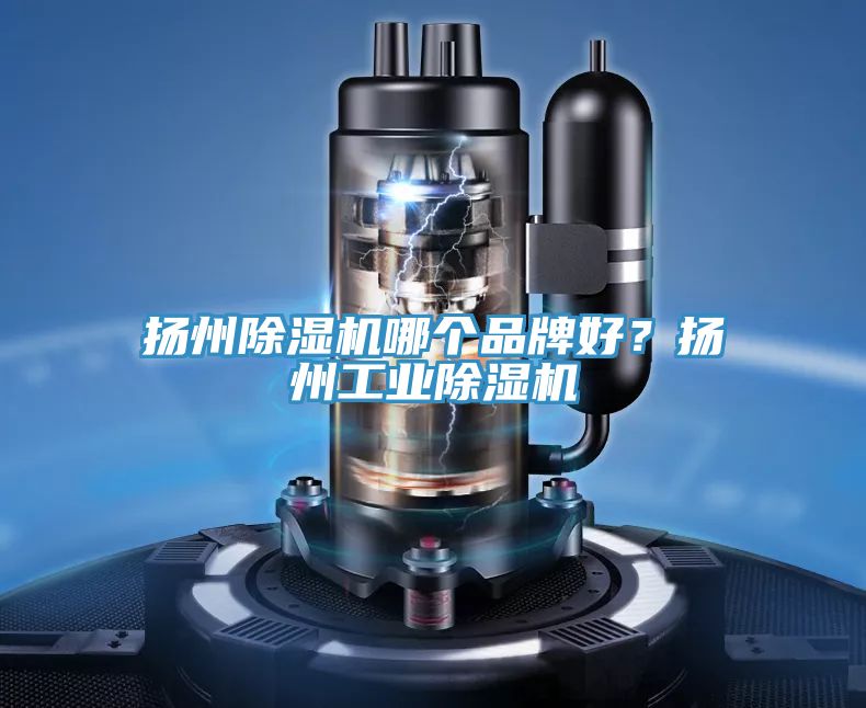 揚州除濕機哪個品牌好？揚州工業(yè)除濕機