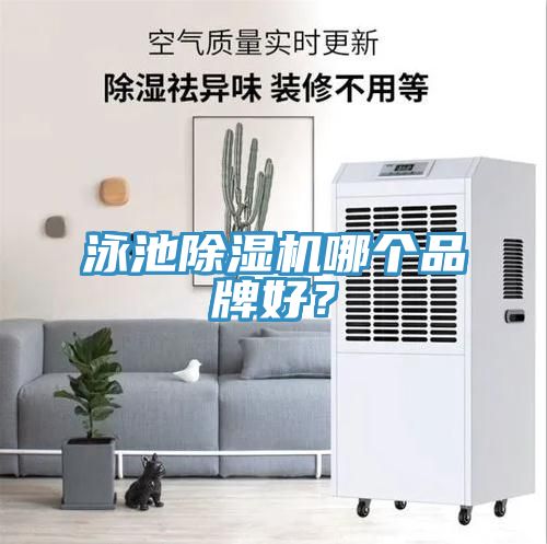 泳池除濕機哪個品牌好？