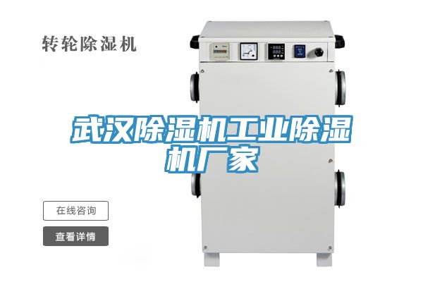 武漢除濕機工業(yè)除濕機廠家