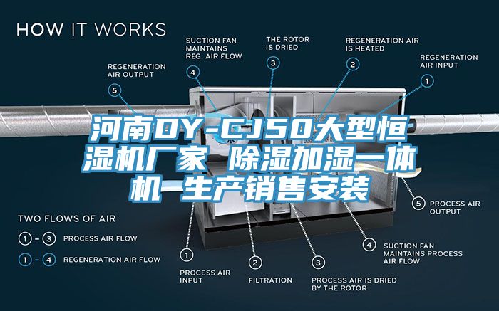 河南DY-CJ50大型恒濕機(jī)廠家 除濕加濕一體機(jī) 生產(chǎn)銷售安裝