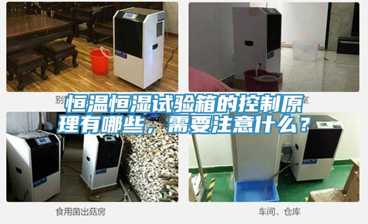 恒溫恒濕試驗(yàn)箱的控制原理有哪些，需要注意什么？