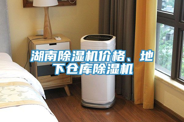 湖南除濕機(jī)價(jià)格、地下倉(cāng)庫(kù)除濕機(jī)