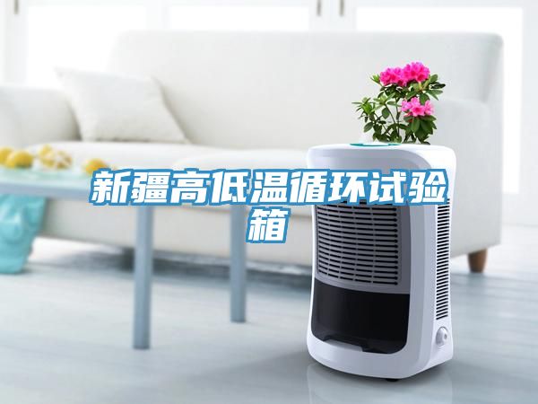 新疆高低溫循環(huán)試驗(yàn)箱
