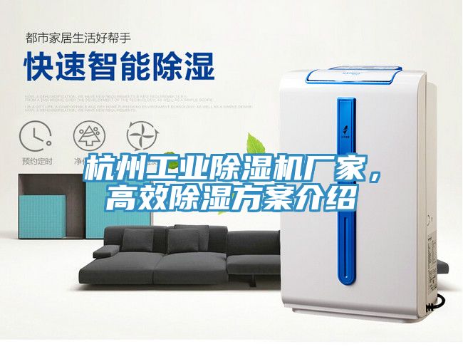 杭州工業(yè)除濕機(jī)廠家，高效除濕方案介紹