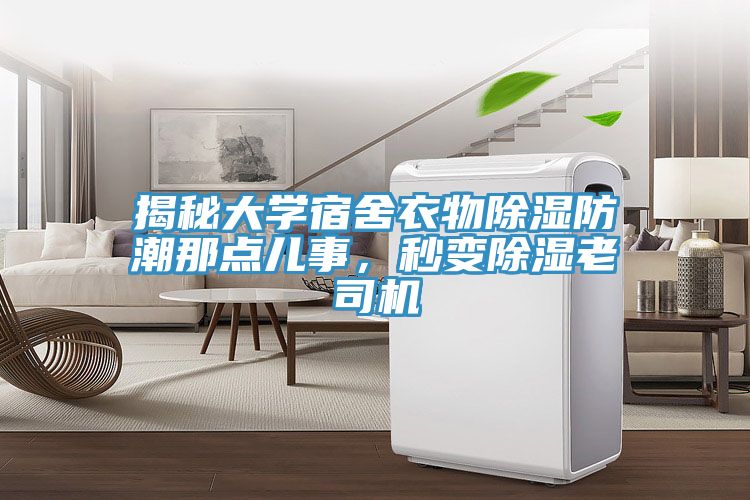 揭秘大學(xué)宿舍衣物除濕防潮那點兒事，秒變除濕老司機