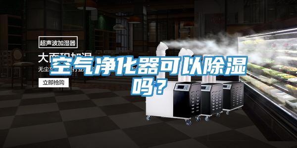 空氣凈化器可以除濕嗎？