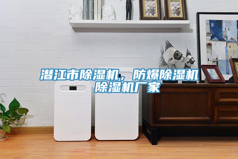 潛江市除濕機，防爆除濕機  除濕機廠家