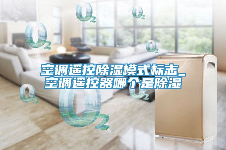 空調(diào)遙控除濕模式標(biāo)志_空調(diào)遙控器哪個是除濕
