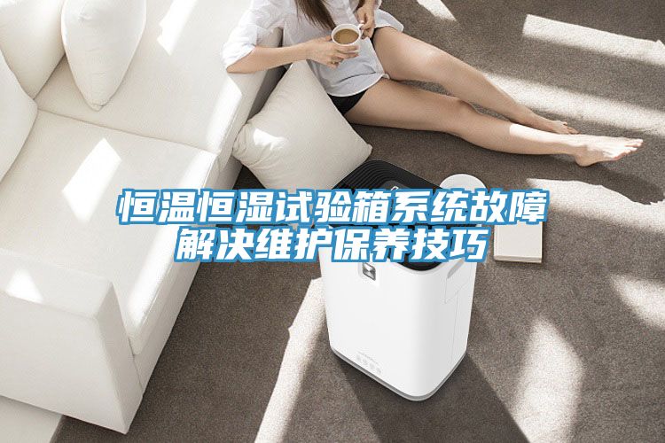恒溫恒濕試驗箱系統(tǒng)故障解決維護保養(yǎng)技巧