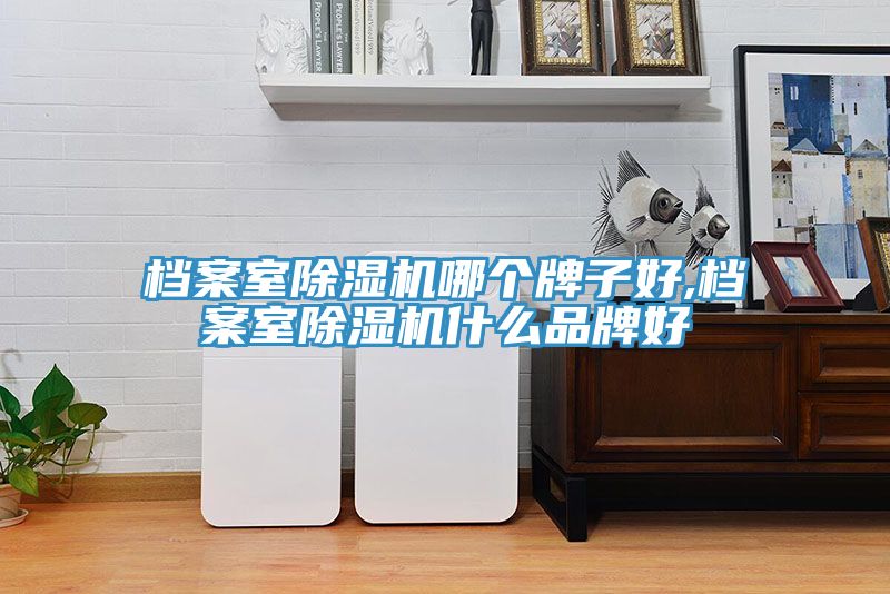 檔案室除濕機(jī)哪個(gè)牌子好,檔案室除濕機(jī)什么品牌好