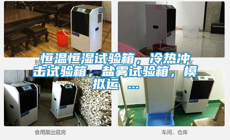 恒溫恒濕試驗箱，冷熱沖擊試驗箱，鹽霧試驗箱，模擬運 ...