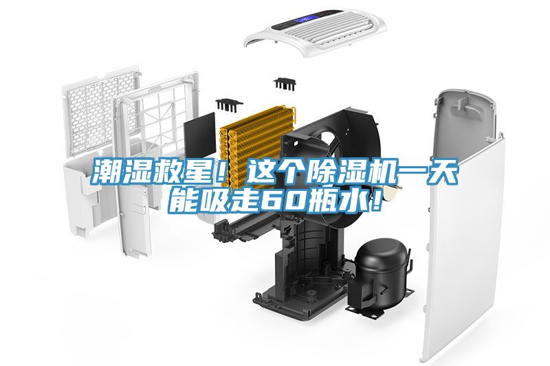 潮濕救星！這個除濕機一天能吸走60瓶水！