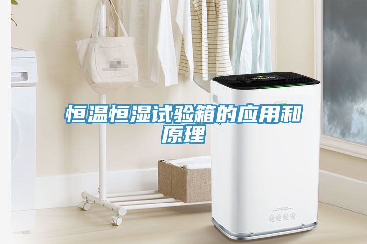 恒溫恒濕試驗(yàn)箱的應(yīng)用和原理