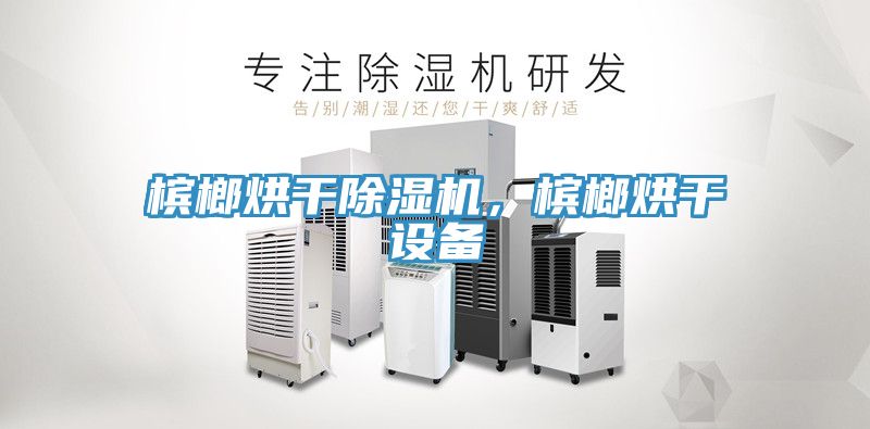 檳榔烘干除濕機(jī)，檳榔烘干設(shè)備