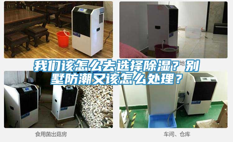 我們?cè)撛趺慈ミx擇除濕？別墅防潮又該怎么處理？