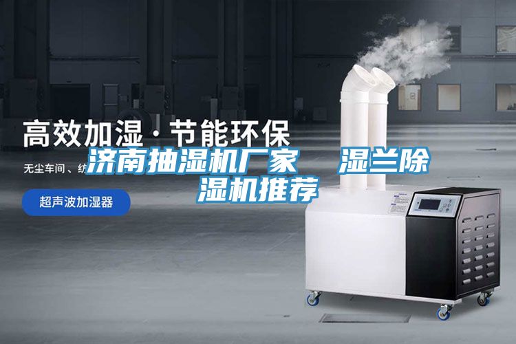 濟(jì)南抽濕機(jī)廠家  濕蘭除濕機(jī)推薦