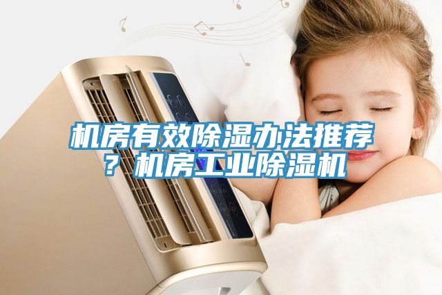 機(jī)房有效除濕辦法推薦？機(jī)房工業(yè)除濕機(jī)