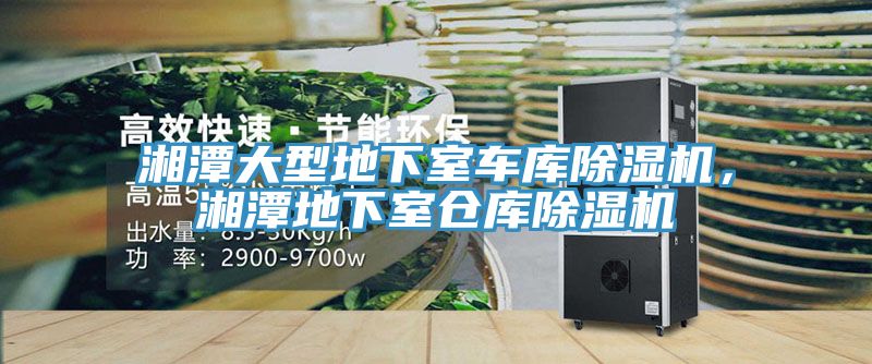 湘潭大型地下室車庫(kù)除濕機(jī)，湘潭地下室倉(cāng)庫(kù)除濕機(jī)