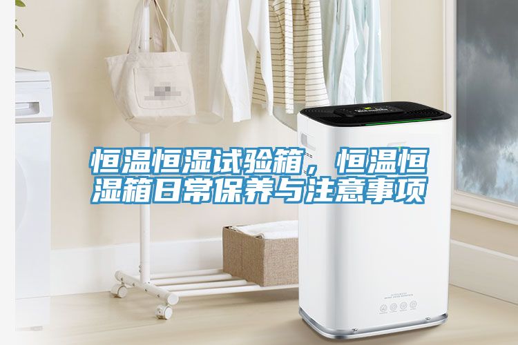 恒溫恒濕試驗(yàn)箱，恒溫恒濕箱日常保養(yǎng)與注意事項(xiàng)
