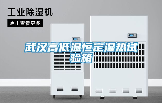 武漢高低溫恒定濕熱試驗(yàn)箱