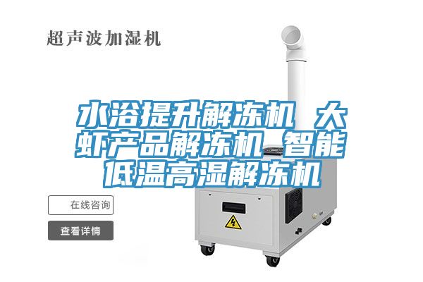 水浴提升解凍機(jī) 大蝦產(chǎn)品解凍機(jī) 智能低溫高濕解凍機(jī)