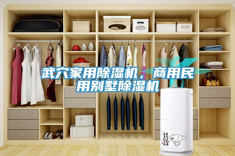 武穴家用除濕機(jī)，商用民用別墅除濕機(jī)