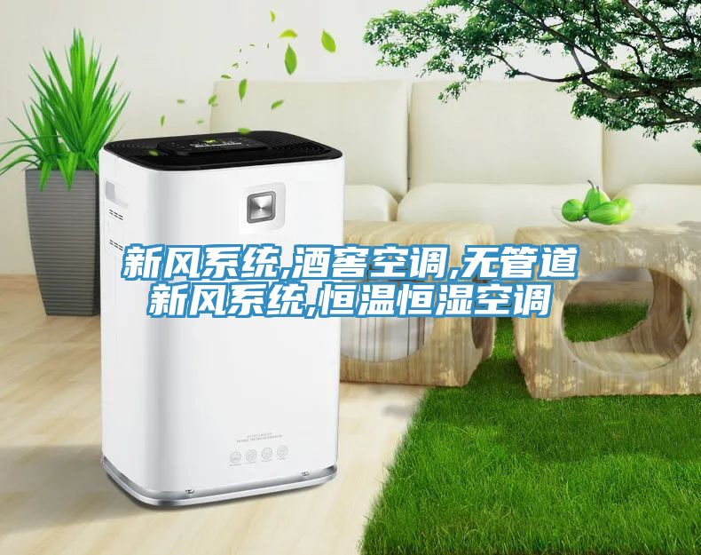新風系統(tǒng),酒窖空調(diào),無管道新風系統(tǒng),恒溫恒濕空調(diào)