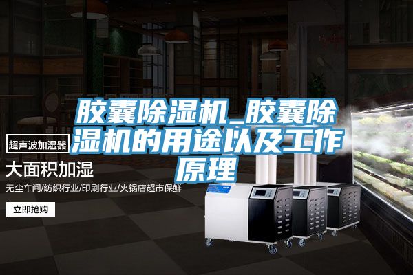 膠囊除濕機(jī)_膠囊除濕機(jī)的用途以及工作原理
